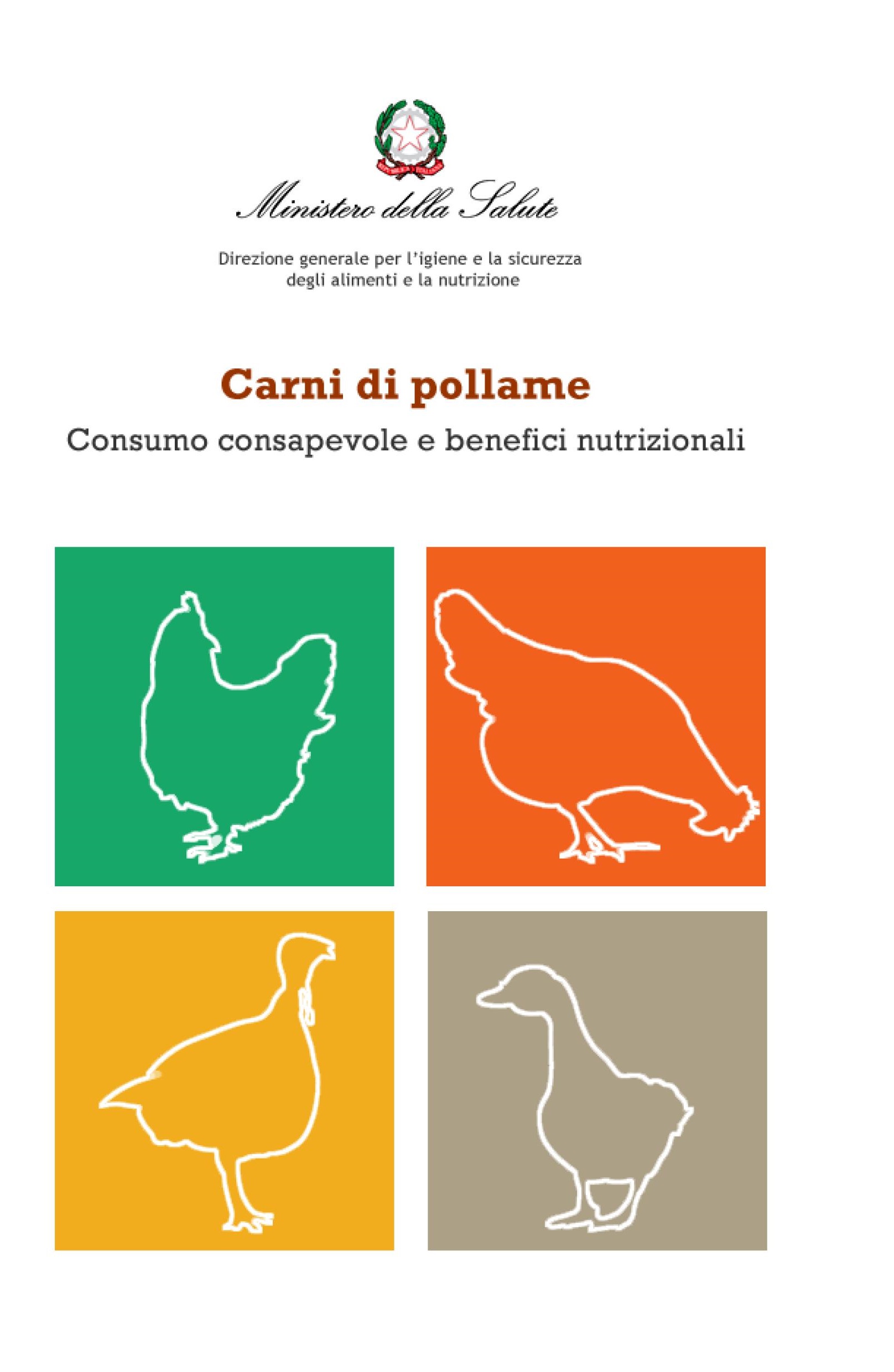 02 carni di pollame